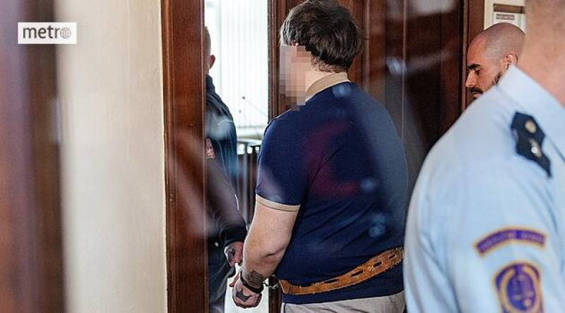 Link Preview