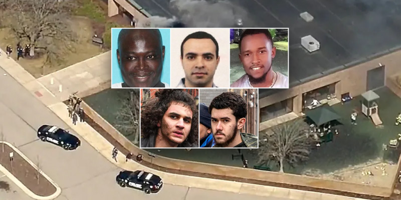 Link Preview