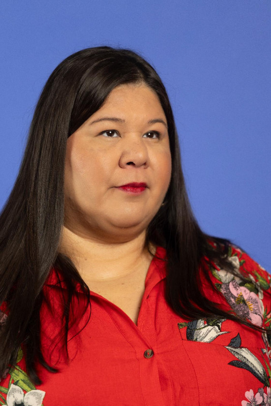 Link Preview